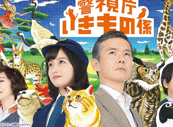 横顔がきれいだと思う女優ランキングベスト17！北川景子、綾瀬はるか、石原さとみ…1位は？【900人が投票】 TVマガ